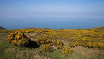Head up to the Quantock Hills - on a clear day you can see right across the Bristol Channel to South Wales.