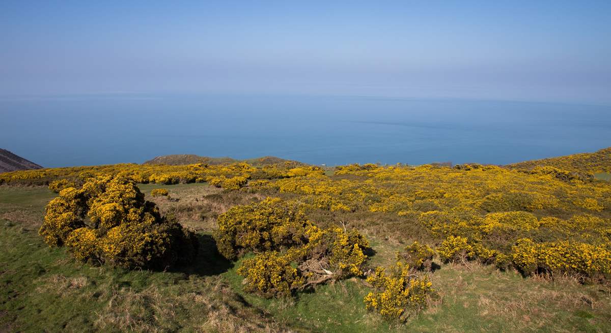 Head up to the Quantock Hills - on a clear day you can see right across the Bristol Channel to South Wales.