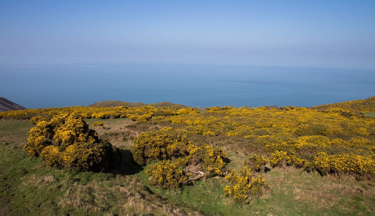 Head up to the Quantock Hills - on a clear day you can see right across the Bristol Channel to South Wales.