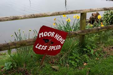 You will pass the owners' farmyard pond when you turn into the driveway.