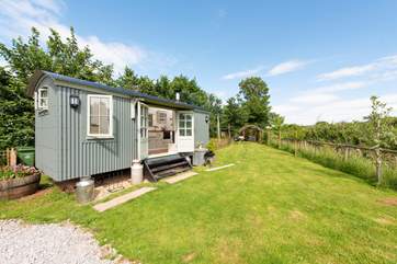 There is so much outside space here and it's enclosed - perfect for your four-legged friend.