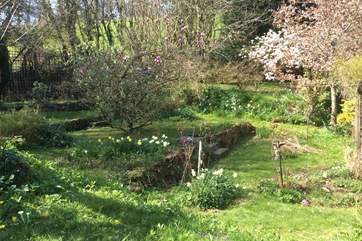Your four-legged friends will have endless fun picking up the scents and trails left throughout this lovely enclosed garden.