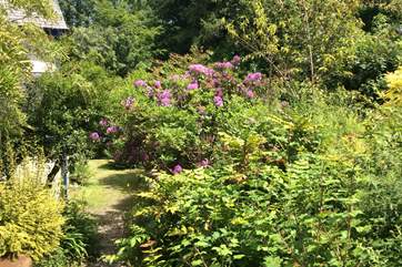 The lovingly manicured garden bursts with life and colour.