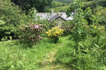 Looking back at the house from the top of the garden.