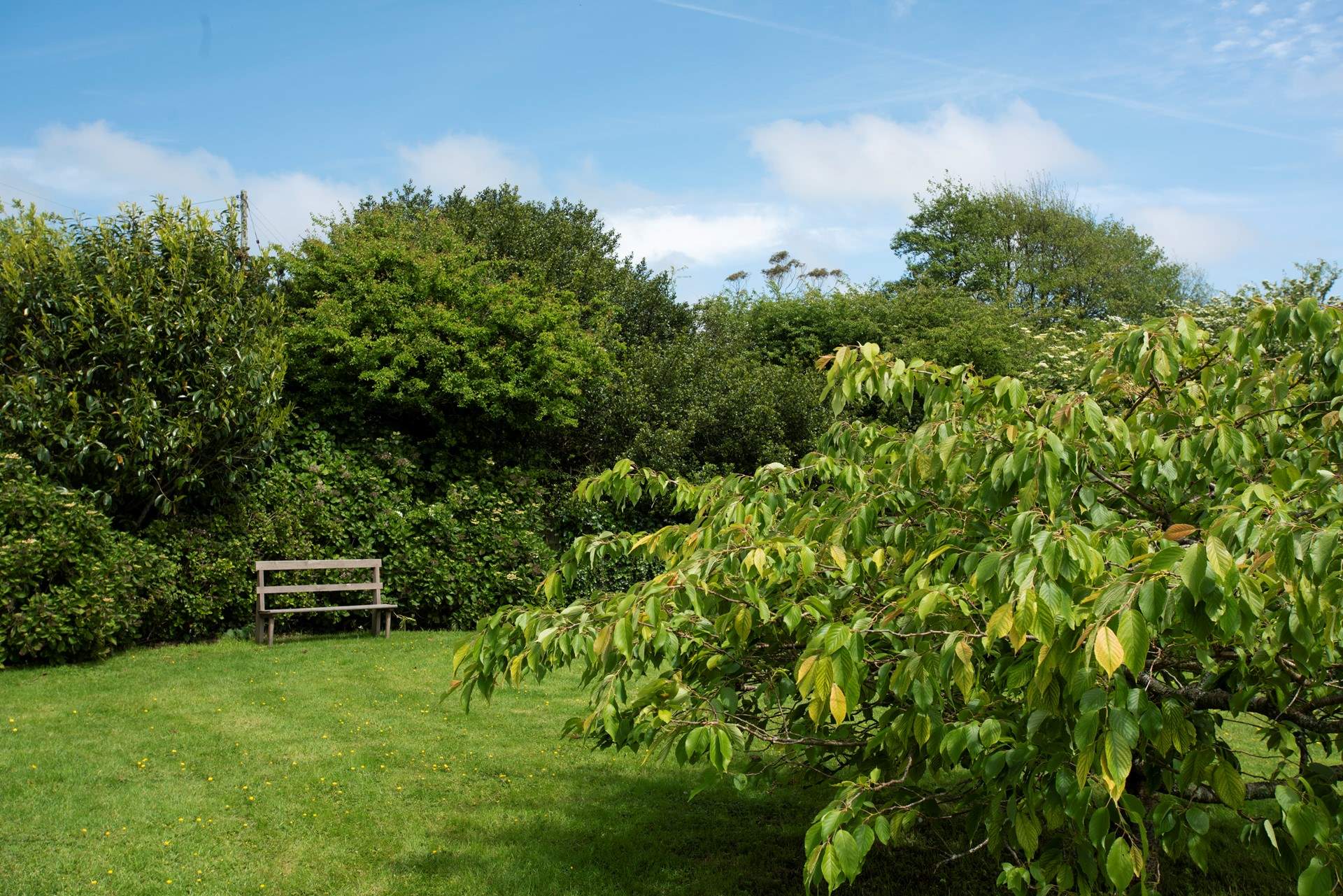 Relax among the cherry tree in the large, enclosed garden.