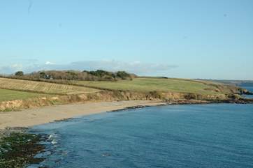 Looking at Towan Beach from Killigerran Headland with Rosteague Farmhouse nestling in the trees on the left.