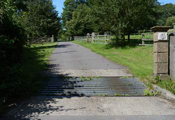The driveway up to Ford Farm often has grazing sheep either side of the little lane.