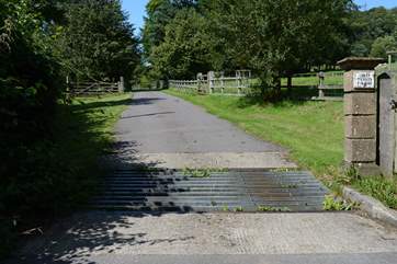 The driveway up to Ford Farm often has grazing sheep either side of the little lane.