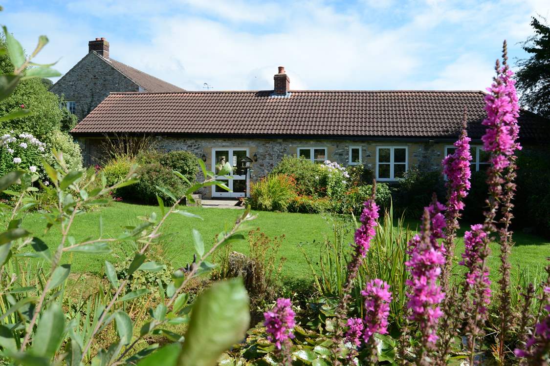 Another view of the garden.