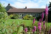 Another view of the garden.