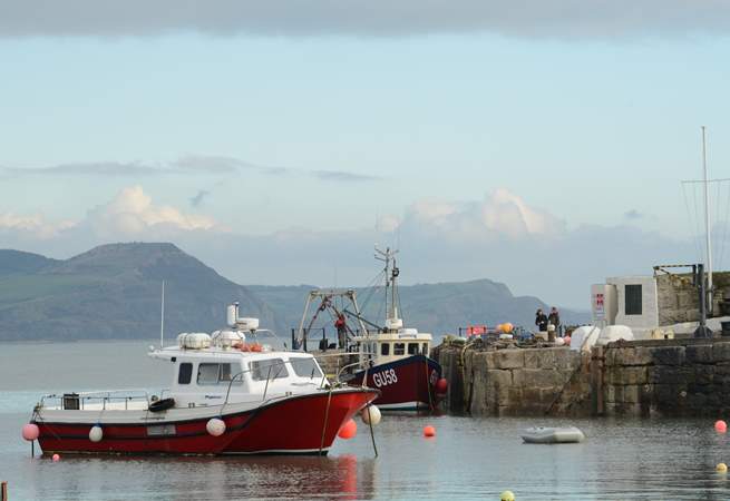 Fishing boats at nearby Lyme Regis, with Golden Cap in the background.