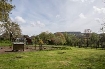 Children will love to see the chickens - you might even be treated to some fresh eggs!