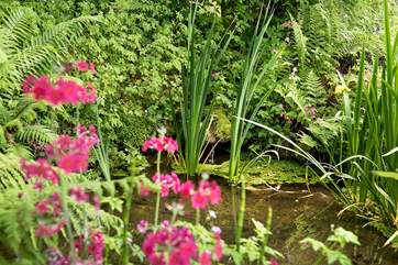 The little pond.