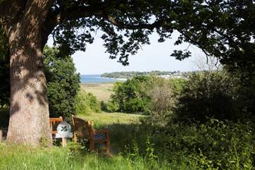 There are some stunning walks across the Isle of Wight.