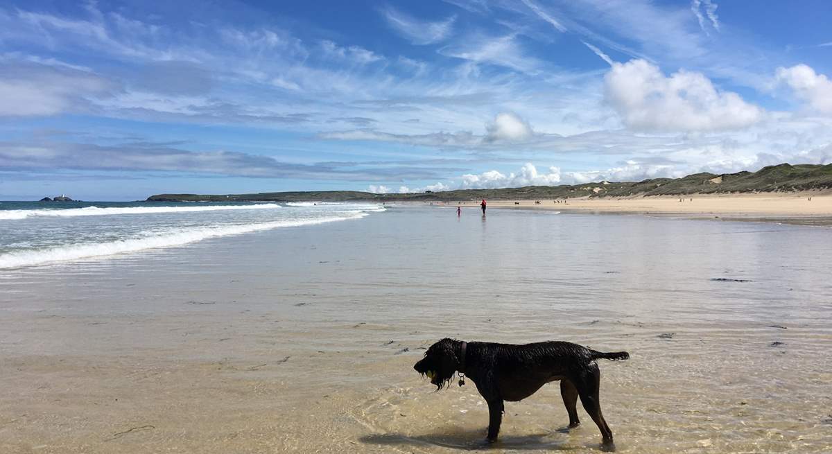 There are many dog-friendly beaches in high season and others that permit access early morning and evenings.