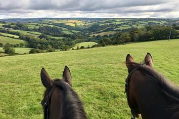 You are welcome to use the stabling and paddocks here - making the most of access on to the high moors from the farm. ( through a separate arrangment with the owners ) Do ask us.