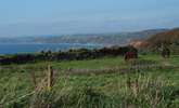 Looking west from Rame Head. - Thumbnail Image