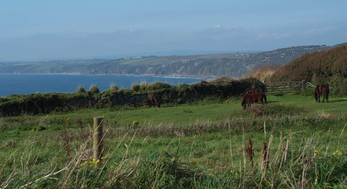 Looking west from Rame Head.