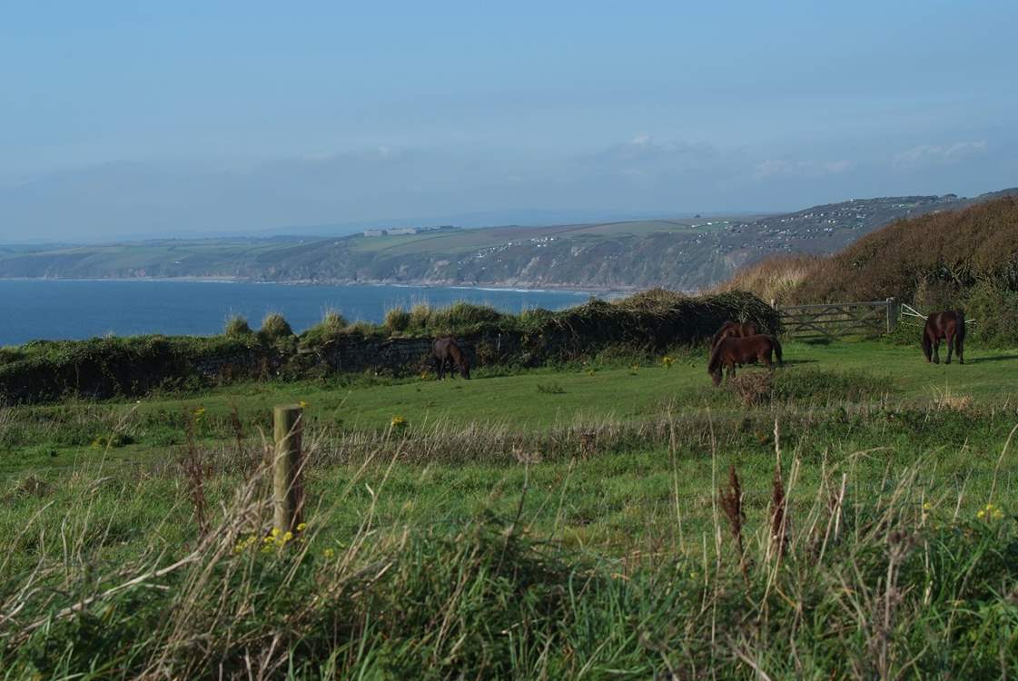 Looking west from Rame Head.