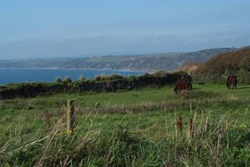 Looking west from Rame Head.