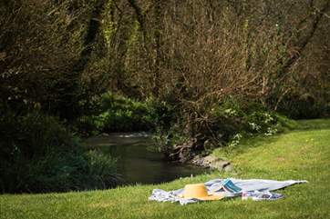 Relax by the stream listening to the babbling water.