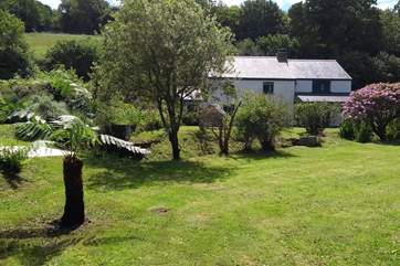 The garden in spring time, looking back towards the house.