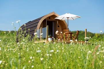 Sitting pretty as a picture in the large meadow with plenty of space around.