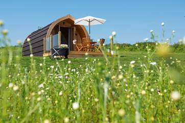 Set in a pretty meadow with plenty of space all around.