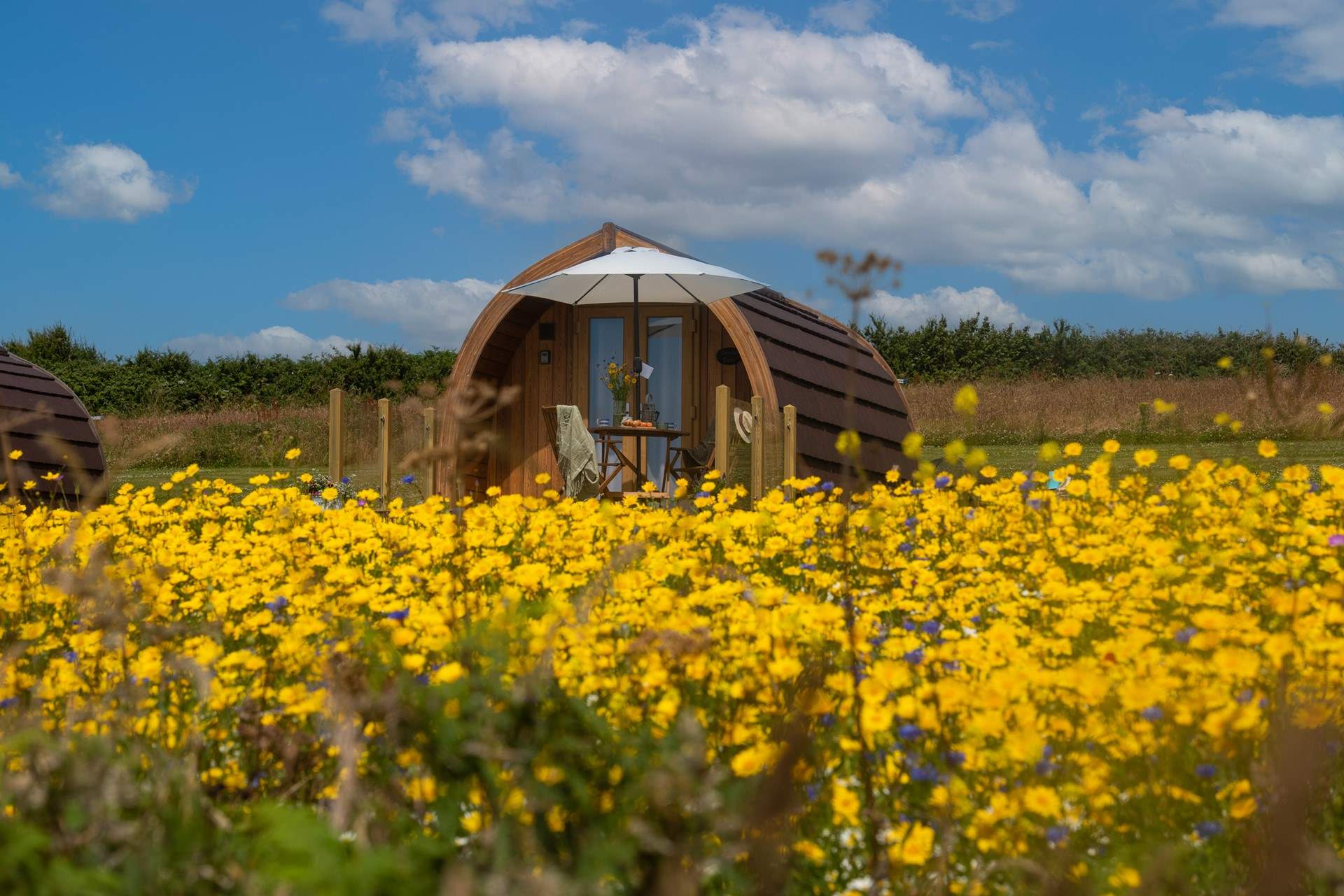 Set in a pretty meadow with plenty of space all around.