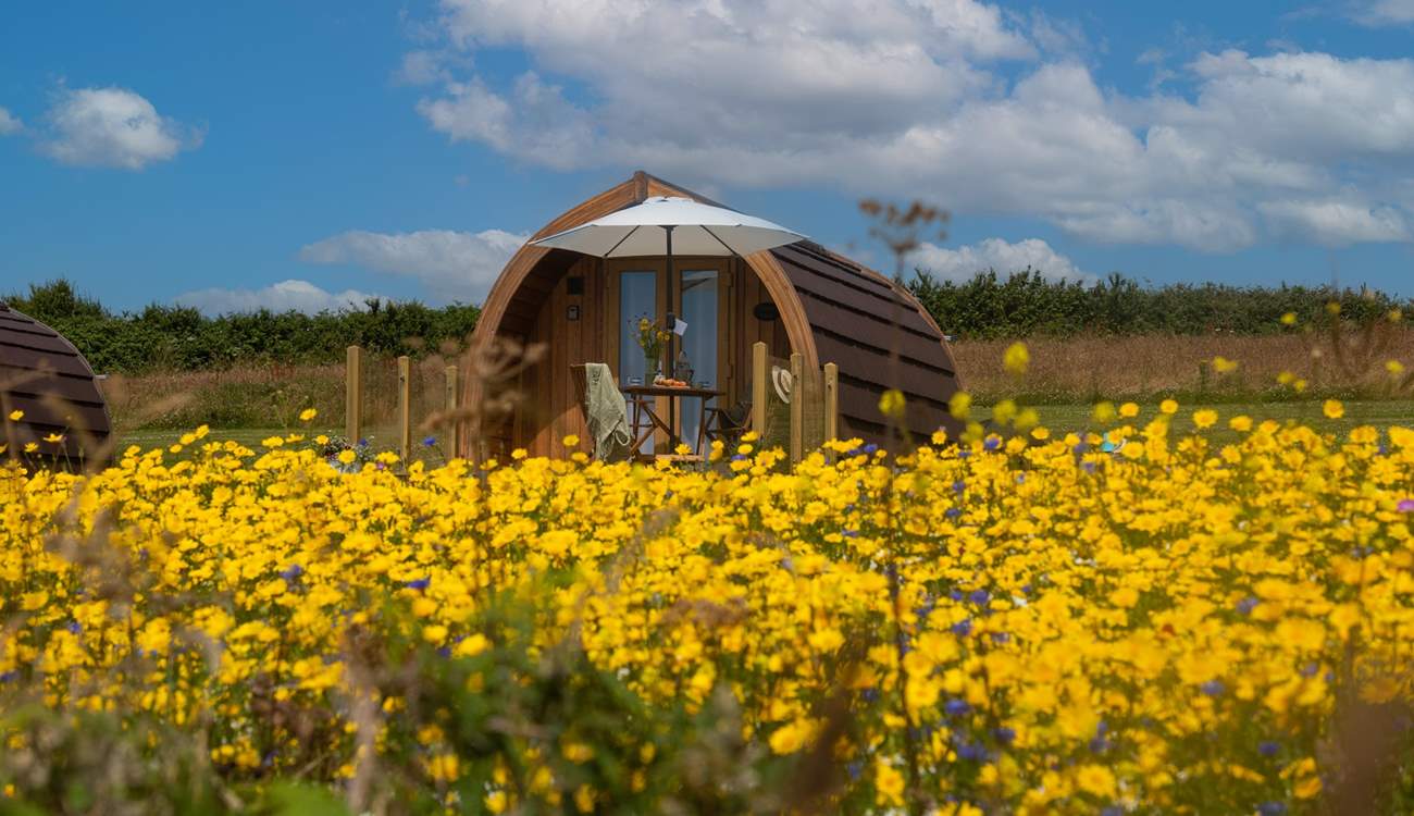 Set in a pretty meadow with plenty of space all around.