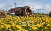 Nestled in a picturesque wild flower meadow with the most beautiful sea view. - Thumbnail Image