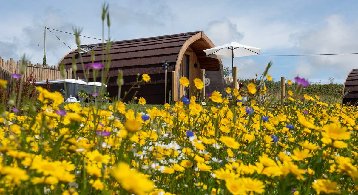 Nestled in a picturesque wild flower meadow with the most beautiful sea view.