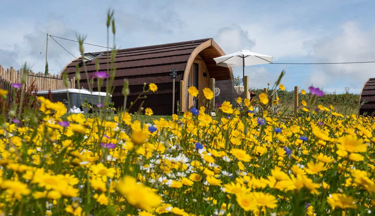 Nestled in a picturesque wild flower meadow with the most beautiful sea view.
