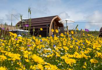 Nestled in a picturesque wild flower meadow with the most beautiful sea view.