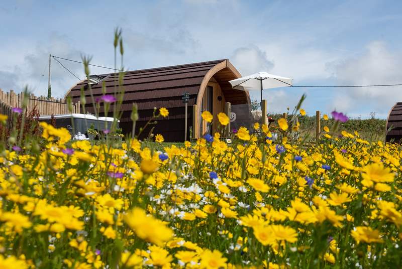 Nestled in a picturesque wild flower meadow with the most beautiful sea view.