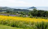 The wild flowers look spectacular during the summer months!  - Thumbnail Image