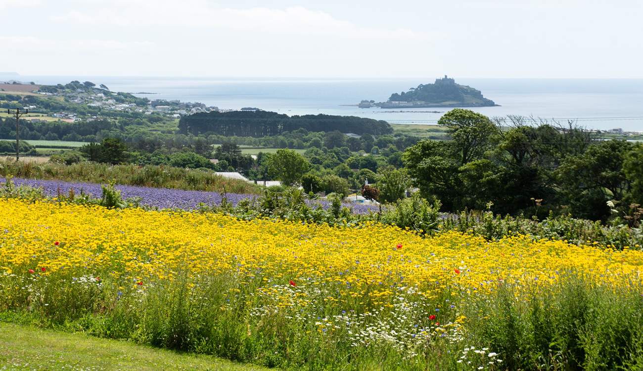 The wild flowers look spectacular during the summer months! 