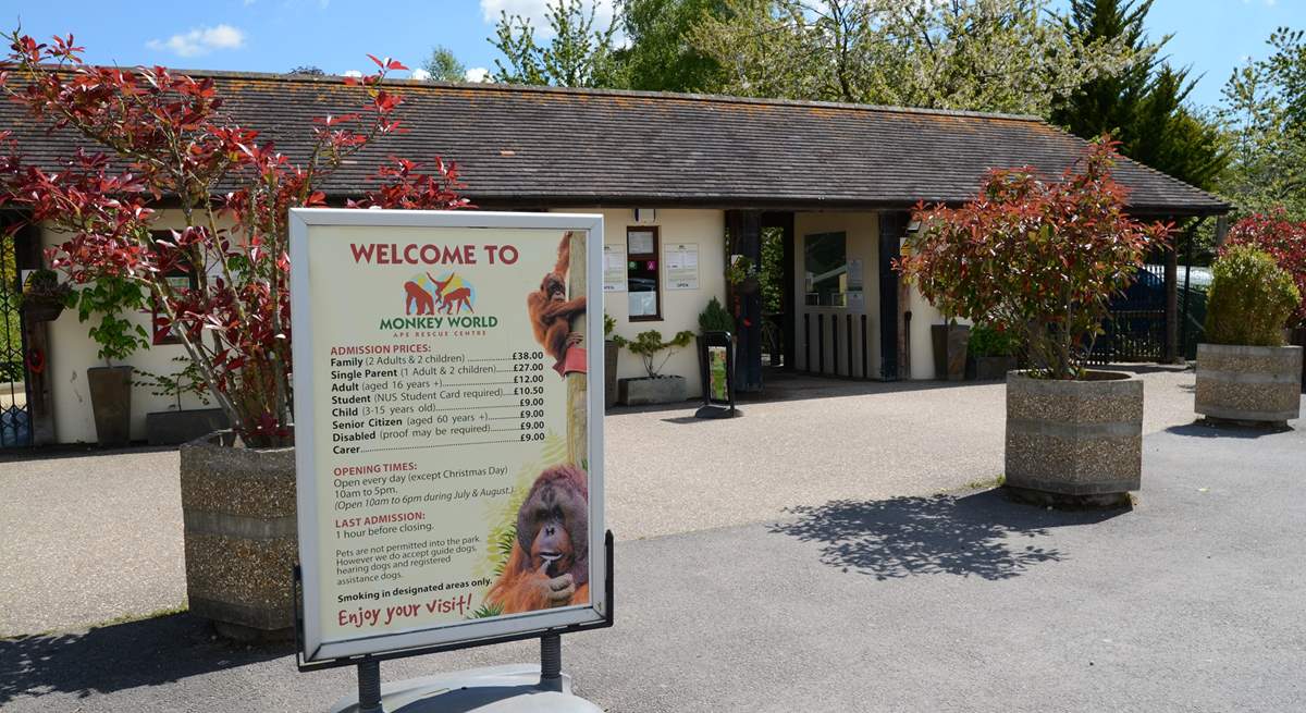 If you like primates, Monkey World is a rescue and rehabilitation centre, just eight miles from Beehive Cottage.