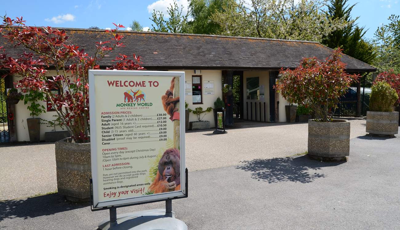 If you like primates, Monkey World is a rescue and rehabilitation centre, just eight miles from Beehive Cottage.