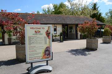 If you like primates, Monkey World is a rescue and rehabilitation centre, just eight miles from Beehive Cottage.