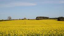 Rural Dorset, gorgeous all year round.