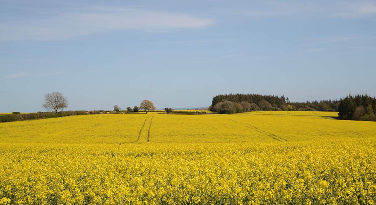 Rural Dorset, gorgeous all year round.