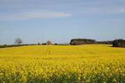 Rural Dorset, gorgeous all year round.