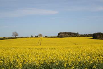 Rural Dorset, gorgeous all year round.