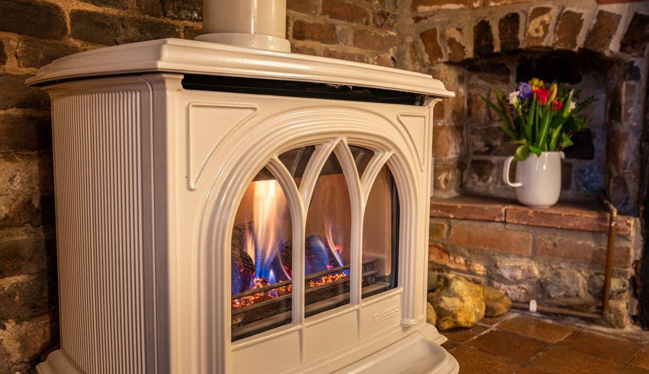 You will find it difficult to tear yourself away from this lovely wood-burner effect gas stove.