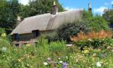 Nearby Hardy's Cottage, the birthplace of Thomas Hardy, is well worth a visit.  - Thumbnail Image