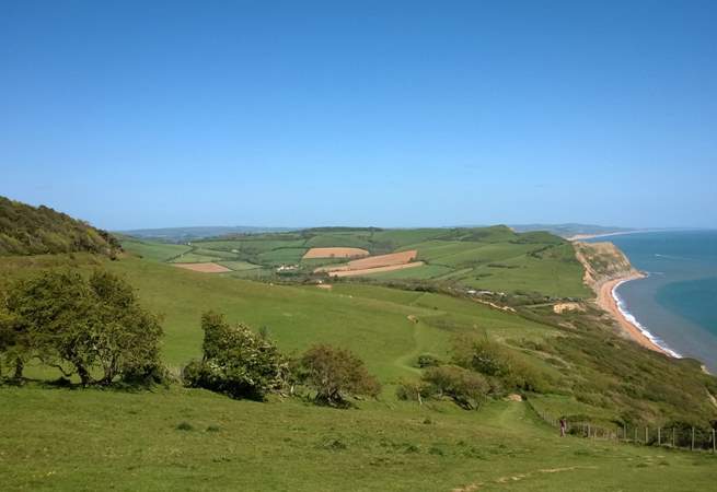 This is the coastline from the iconic Golden Cap landmark just over the border into Dorset.