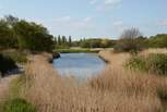 Hersey Nature Reserve in Seaview offers a peaceful spot to meander around the pathways and watch wildlife from the bird hides. 