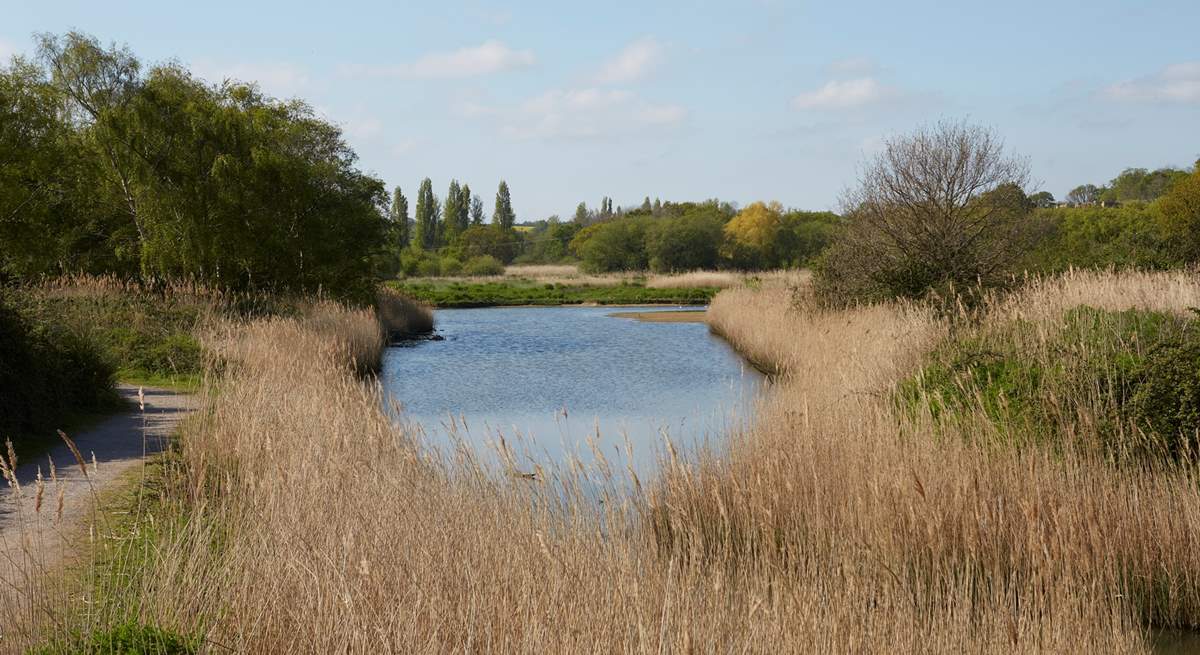 Hersey Nature Reserve in Seaview offers a peaceful spot to meander around the pathways and watch wildlife from the bird hides. 