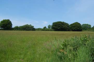 The hilltop setting means fantastic views and so much space to explore.